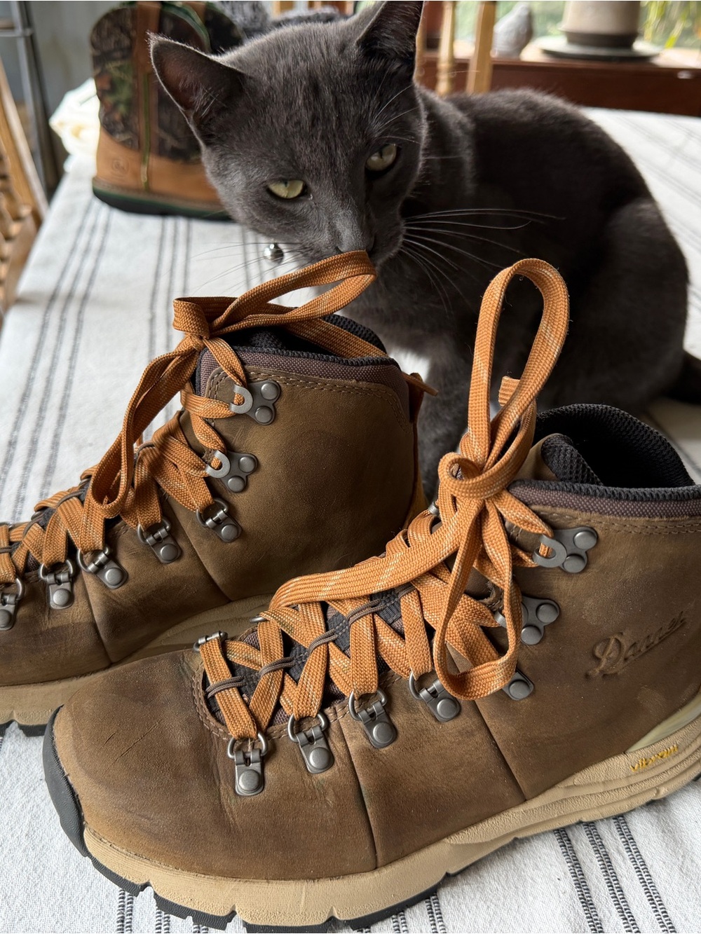 Danner Brown Leather Hiking Boots with Tan/Orange Laces, Womens